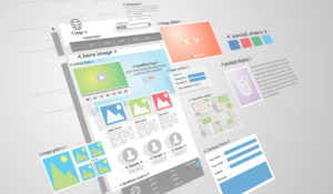 Website design and development project